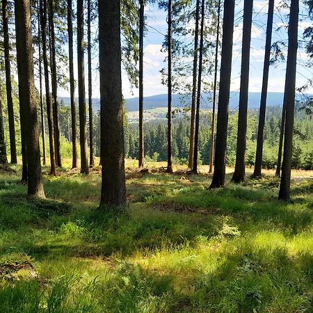 Apartamenty Pod Jagodna Spalona Exteriér fotografie